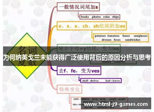 为何纳英戈兰未能获得广泛使用背后的原因分析与思考