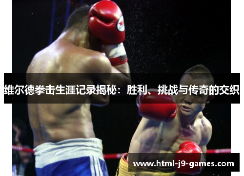 维尔德拳击生涯记录揭秘:胜利、挑战与传奇的交织